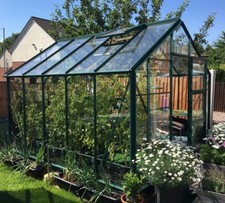 3mm Clear Perspex Petg Plastic Sheet Glazing Impact Greenhouse Shed Window Panel