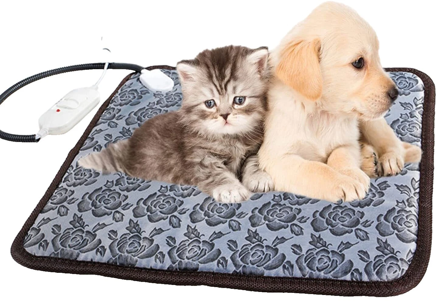 Dog Beds with Electric Heating