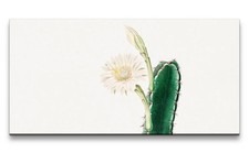 120x60cm Remaster Fiore Cactus