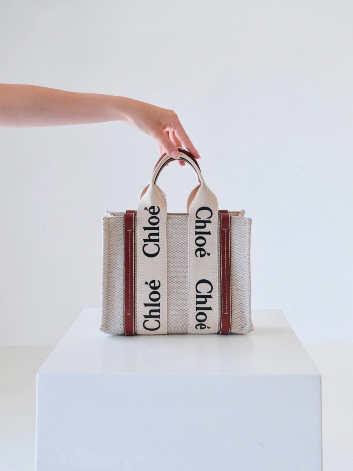 Authenticated Chloé First Edition Woody Small Linen Tote Bag