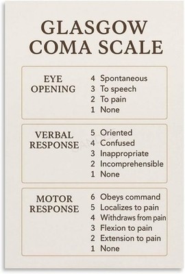 Glasgow Coma Scale GCS Poster Medical Chart First Aid Wall Art