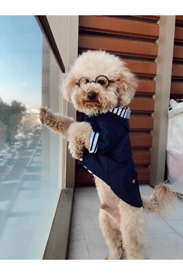 Navy Raincoat