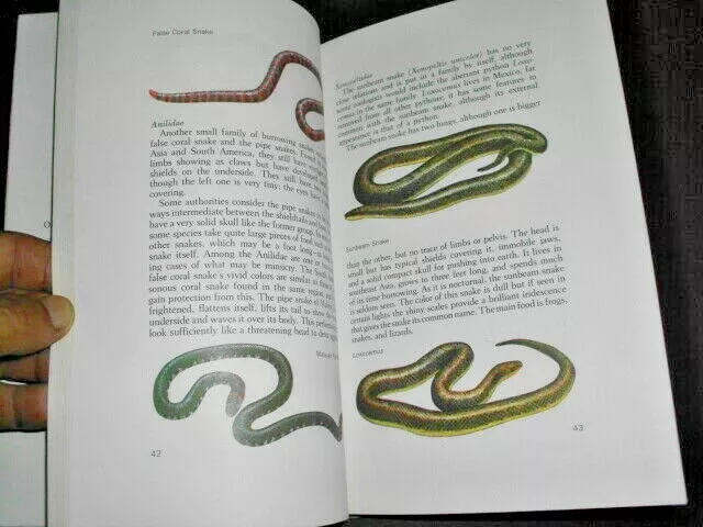 Snakes - WorldAtlas