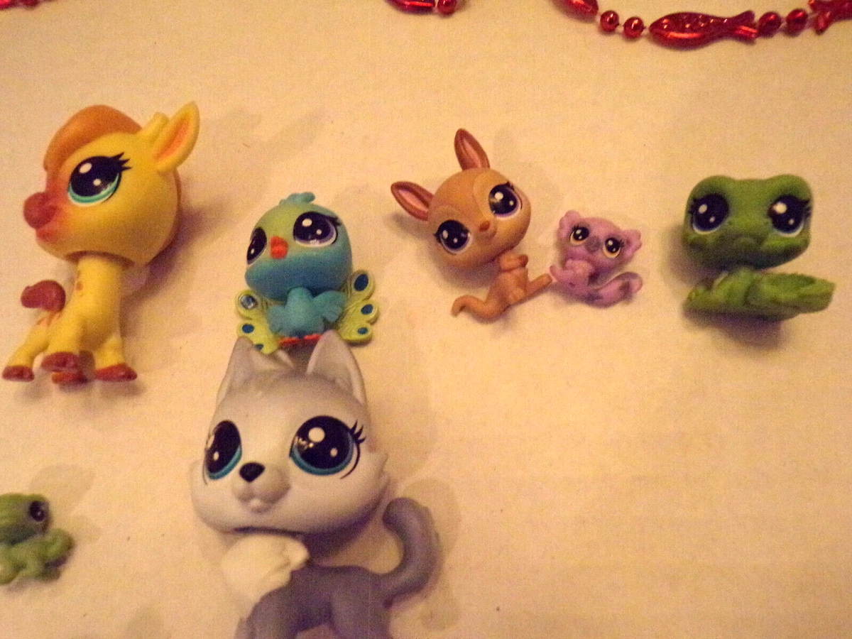 Littlest Pet Shop A Colorful Bunch