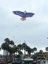 71'' bald Eagle Kite for Kids Adults Single Line Animal Kite for Outdoor fun