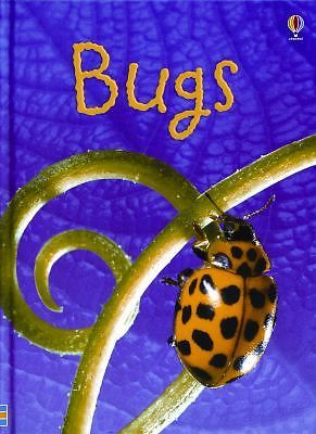 Bugs; Usborne Beginners - hardcover, 0794517056, Lucy Bowman, new