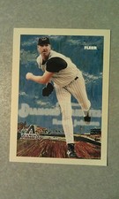 Randy Johnson Diamondbacks 2005 Fleer Diamond Tributes WHITE LETTERS RARE WOW