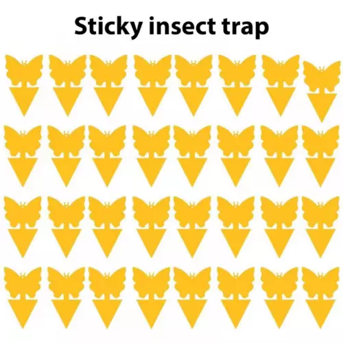 20pcs Sticky Fruit Fly Traps, Fungus Gnat Killer Trap use for Indoor Outdoor - Picture 2 of 23
