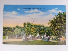 Scene in Owen Park, Tulsa, Oklahoma. Vintage Linen Postcard