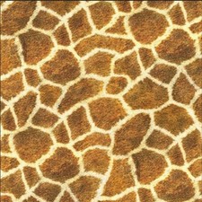Robert Kaufman Animal Kingdom Wild 19872-286 Cotton Fabric by the Yard