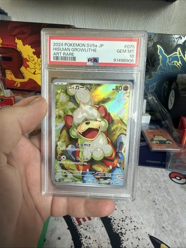 Hisuian Growlithe 075/066 Sv5a: Crimson Haze Holo PSA 10 Gem Mint (Japanese)