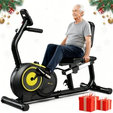 Recumbent Exercise Bike for Home Use,Quiet Recumbent Stationary Bike for Adult S