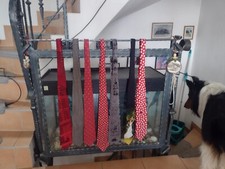 krawatten sammlung  3 x Robin Ruth 100% silk; 1 x image produkt reine seide etc.