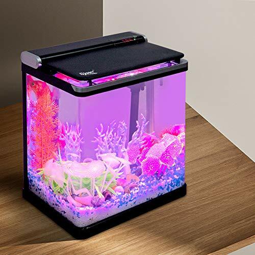 small undergravel filter