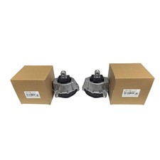 NEW 2PCS OEM For BMW 330i Engine Motor Mount ...