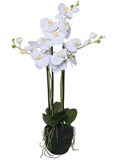 Kunstpflanze ORCHIDELIS Kunststoff 50x50x87 cm Orchidee Organisch