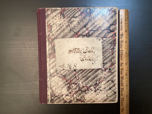 Antique Hand Written Moline, IL High School Botany Notebook Illus. 1890s