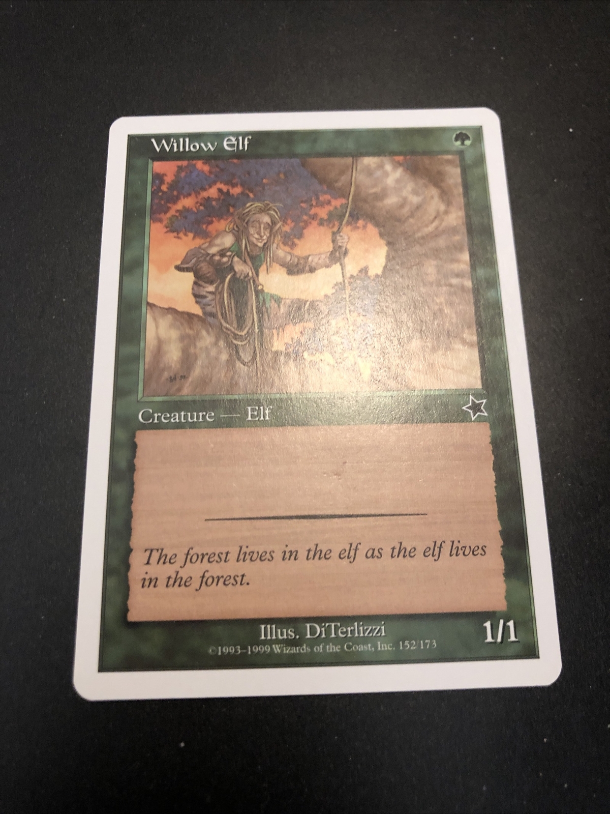 Willow Elf Starter 1999 - Magic the Gathering MTG
