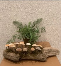 Driftwood Art, Driftwood  Seashell Mushrooms , Mushroom Art