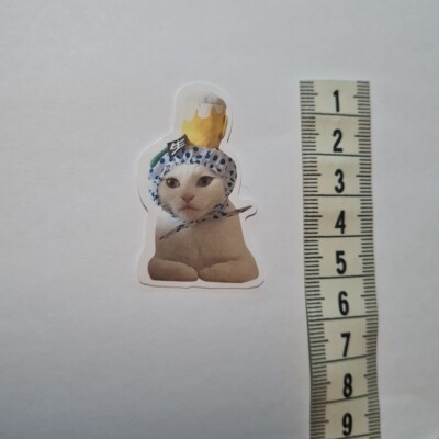 Cat Meme Funny Cute Derp Silly Hat Glanz Sticker Aufkleber Sammeln Geschenk Neu