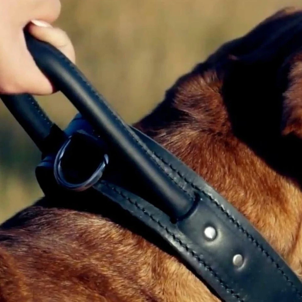 Collar de cuero genuino con mango ajustable para perro K-9 militar artesanal resistente Foto 4 de 4