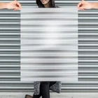 Lenticular Sheet Refraction Material PETG for Art Dynamic Picture 3D Picture