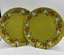 Espana Lifestyle PASHA Dinner Plates By Don Swanson 10 1/2” Set Of 2 Green