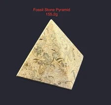 Fossil Stone Pyramid 155.2g Beautiful Chakra,Feng Shui,Reiki Pakistan