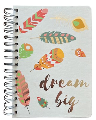 Dream Big Daily Planner. Password Section. Projects Stickers Folders 6 x 8  NEW