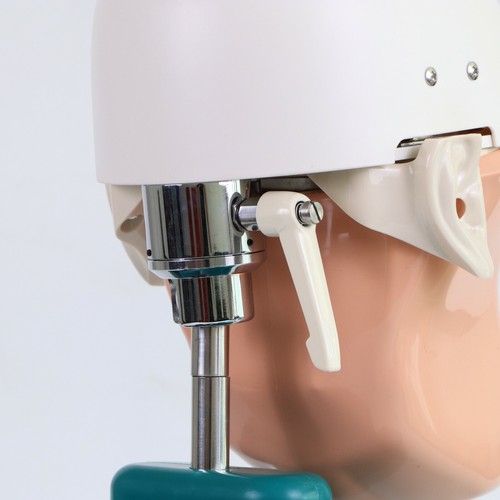 Dental Simulator Patient Manikin Phantom Head Model Teeth Model for Practice - Foto 10 di 12