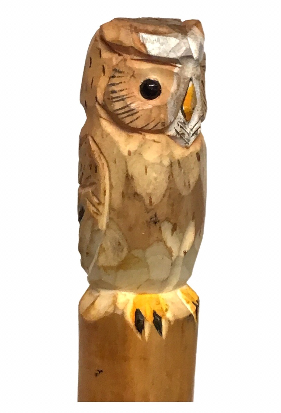 Picture 3 of 5