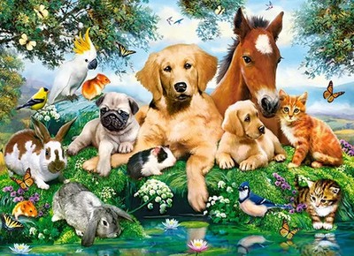 Puzzle (200 T.) Sommerfreunde (Castorland) NEU/OVP