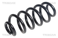 2X Triscan Fahrwerksfeder Hinterachse U.A. FüR Nissan, Renault