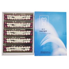 Alloy Pin Porcelain Teeth Dental Materials Tooth Shade Guide A2 23 US STOCK