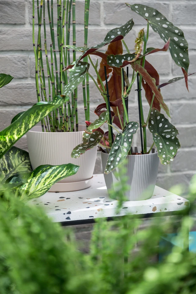 Blumentopf Pflanztopf Übertopf Topf sehr DEKORATIV 11 Farben 7 Größen - Bild 3 von 4