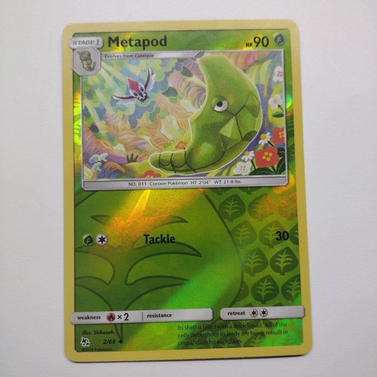 Pokemon TCG • 2019 • Metapod Reverse 2/68 • Hidden Fates • Reverse Holo • MINT