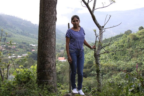 Panama Geisha Kaffeebohnen mittelgeröstet täglich 10 Pfund 1 Pfund Beutel - Bild 11 von 23