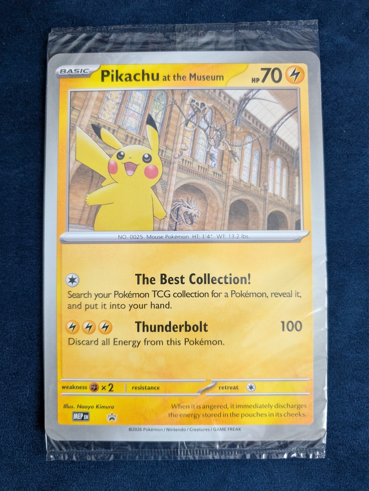 Pikachu At The Museum Jumbo Promo - Sealed Pokemon Card - Natural History Museum