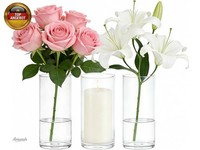 Glasvase Zylinder Vasen Set, 3Er Transparente Borosilikatglas Blumenvase, Vase