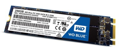 Western Digital WDS250G1B0B WD Blue 250GB SATA3 **New Retail** M.2 ~E~