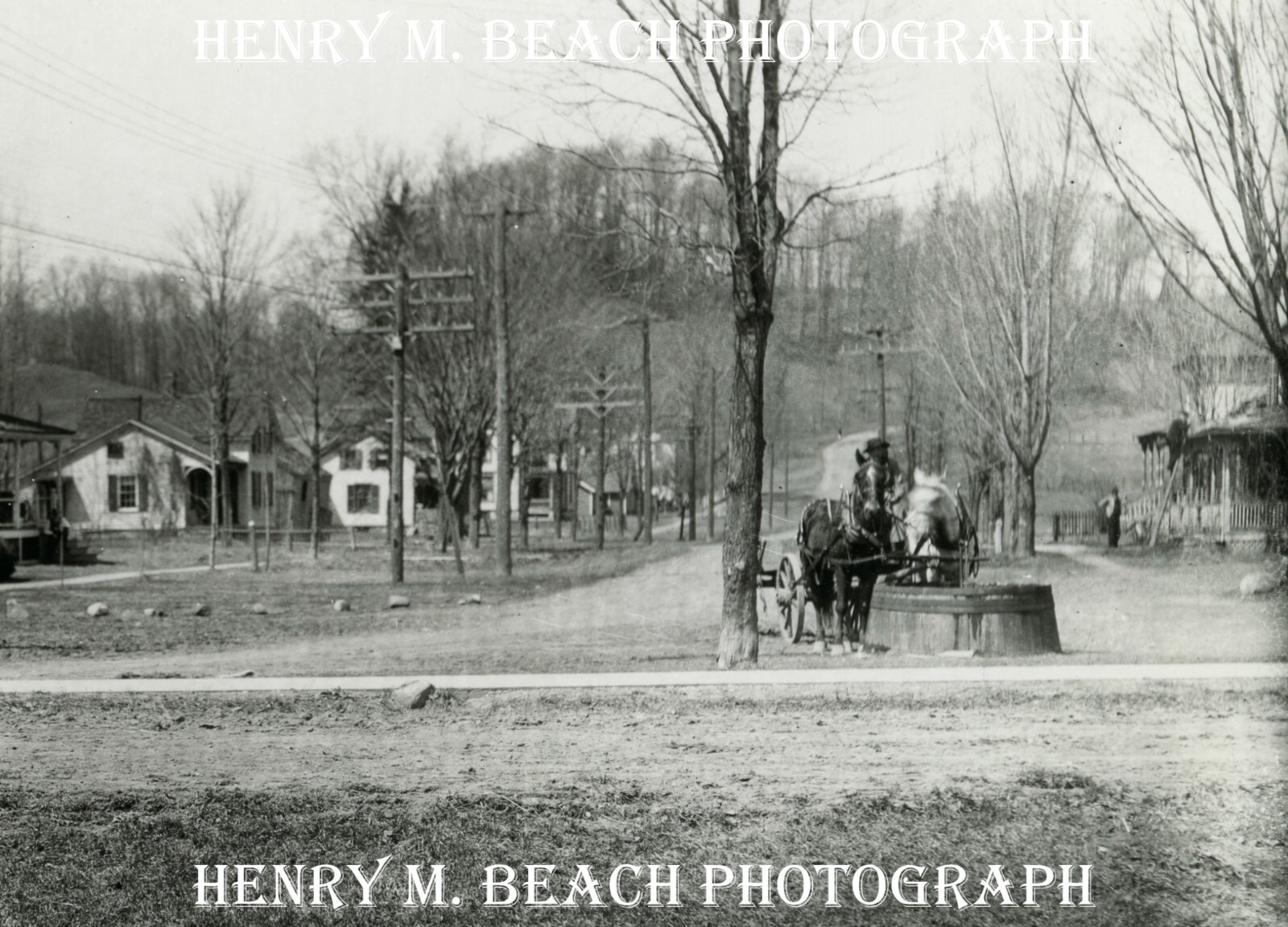1900s Photo Barneveld New York North Street Henry M Beach 5x7