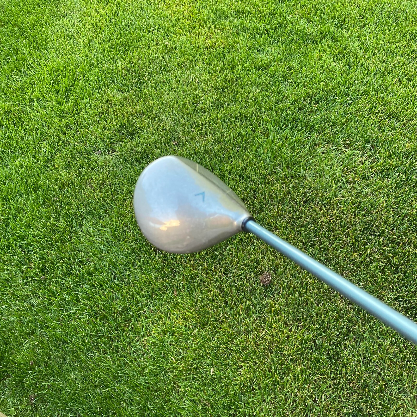 Picture 5 of 6