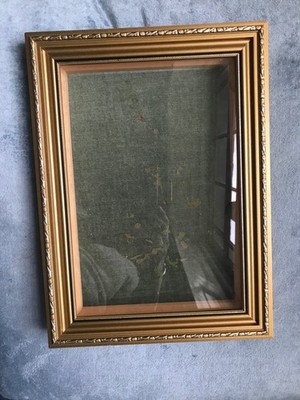 Vintage Deko Gold Shadow Box Rahmen