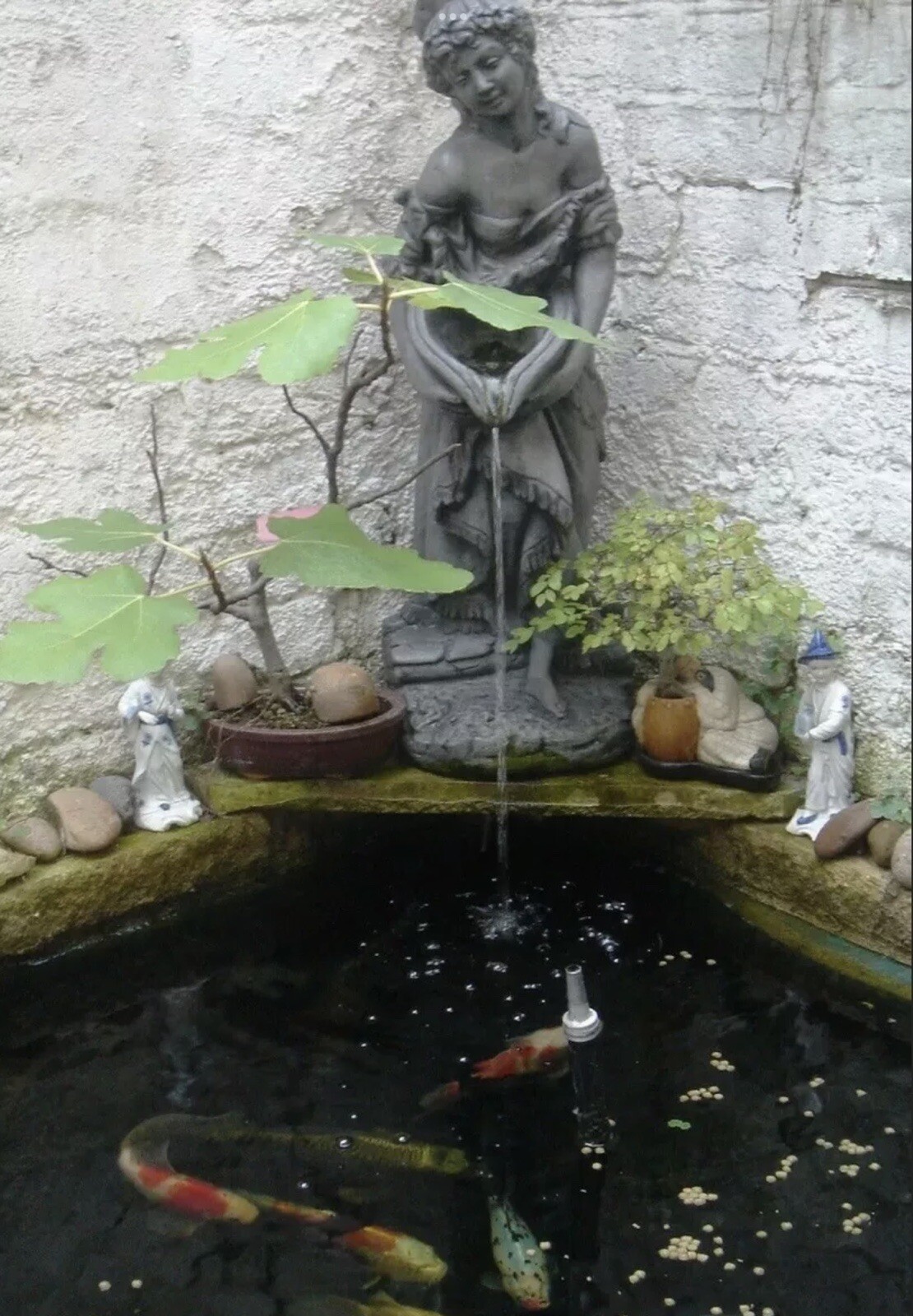 Picture 1 of 9