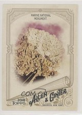 2018 Topps Allen & Ginter Marine National Monument #84 sl3