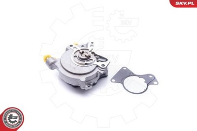 ESEN SKV 18SKV018 Vacuum Pump, Brake System for VW