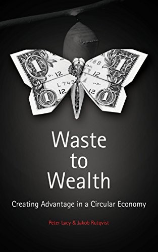 Waste to Wealth: The Circular Economy Advantage,Peter Lacy, Jako
