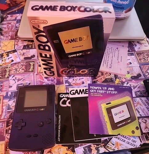 Nintendo Game Boy Color Grape Aftermarket Box Original Inserts Works