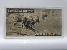 Carreras Cigarette Card, Kodak At The Zoo, #34 Ibex (RD14)