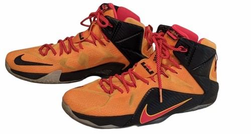 lebron twelves